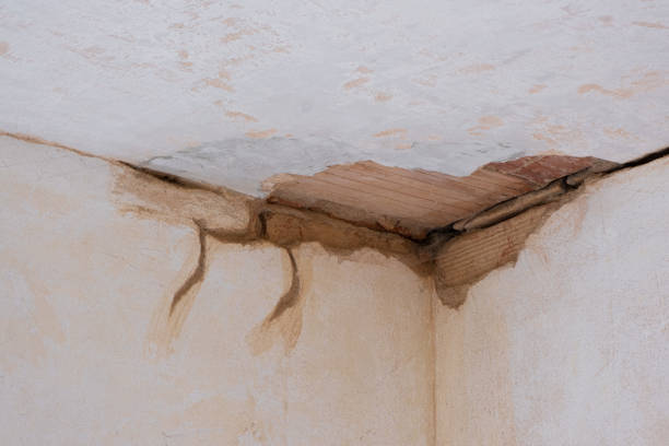 Best Water damage mitigation services  in Ruleville, MS