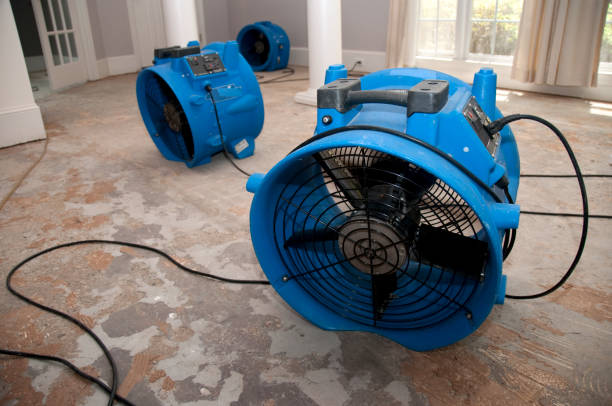 Best Flood restoration services  in Ruleville, MS