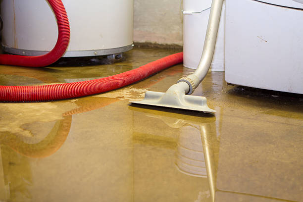 Best Water damage restoration insurance claims  in Ruleville, MS